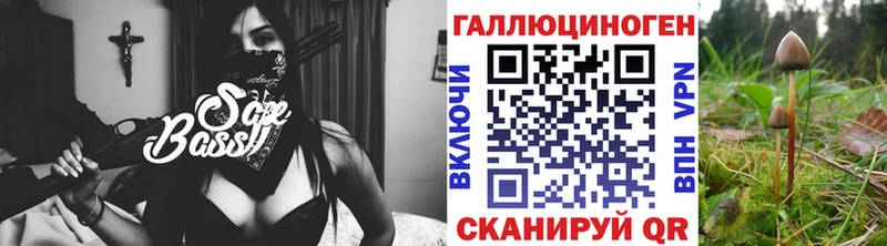 Галлюциногенные грибы мицелий  Донской 